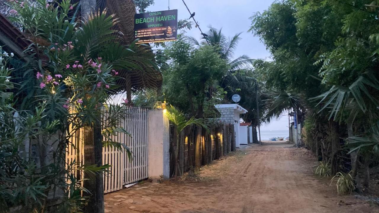 Ceylon Beach Haven Uppuveli Trincomalee Εξωτερικό φωτογραφία